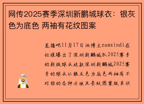网传2025赛季深圳新鹏城球衣：银灰色为底色 两袖有花纹图案